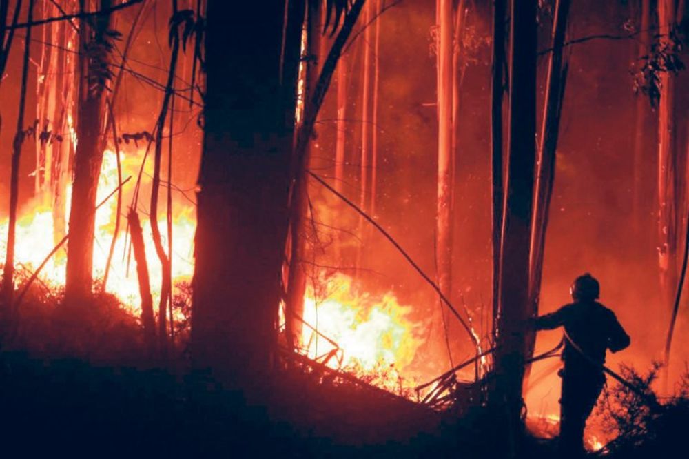 POŽAR NA KOPAONIKU: Zapalio se planinarski dom Rtanj