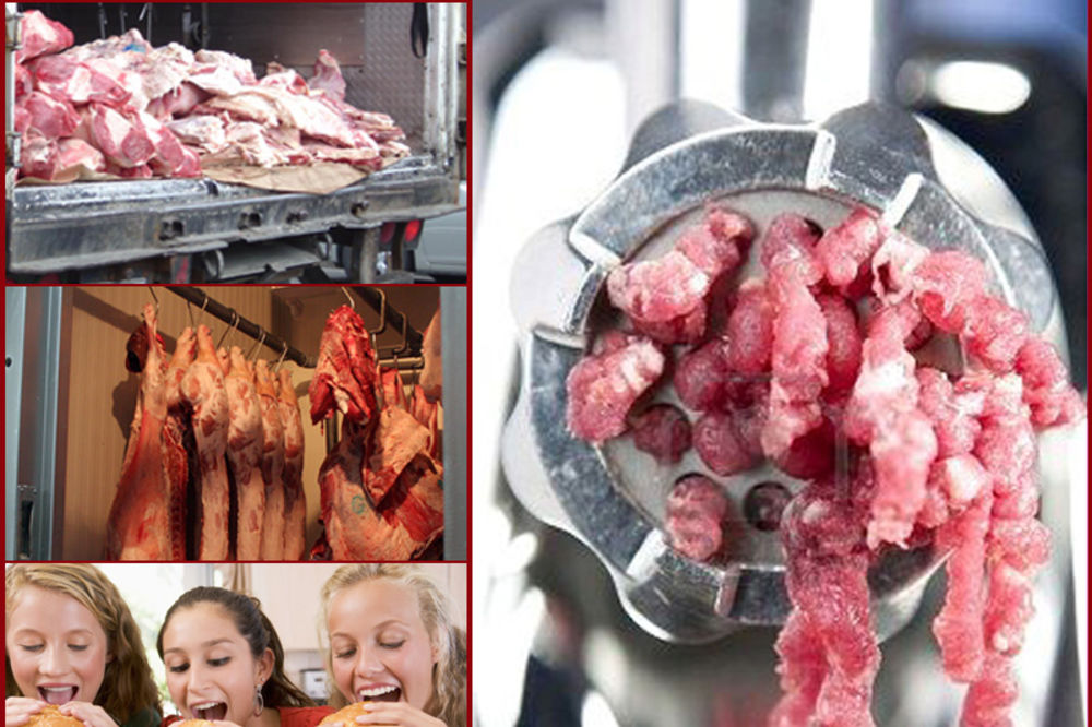 TRUJU NAS ZBOG PROFITA: Prodaju nam meso koje na zapadu ne jedu ni životinje!