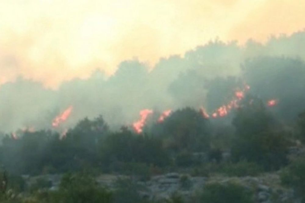 Lokalizovani požari na oko 100 hektara
