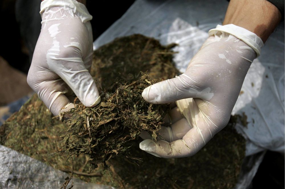HORGOŠ: Pokušao da prenese kilogram marihuane preko granice