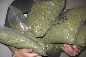Zaplenjeno 10 kilograma marihuane u autobusu