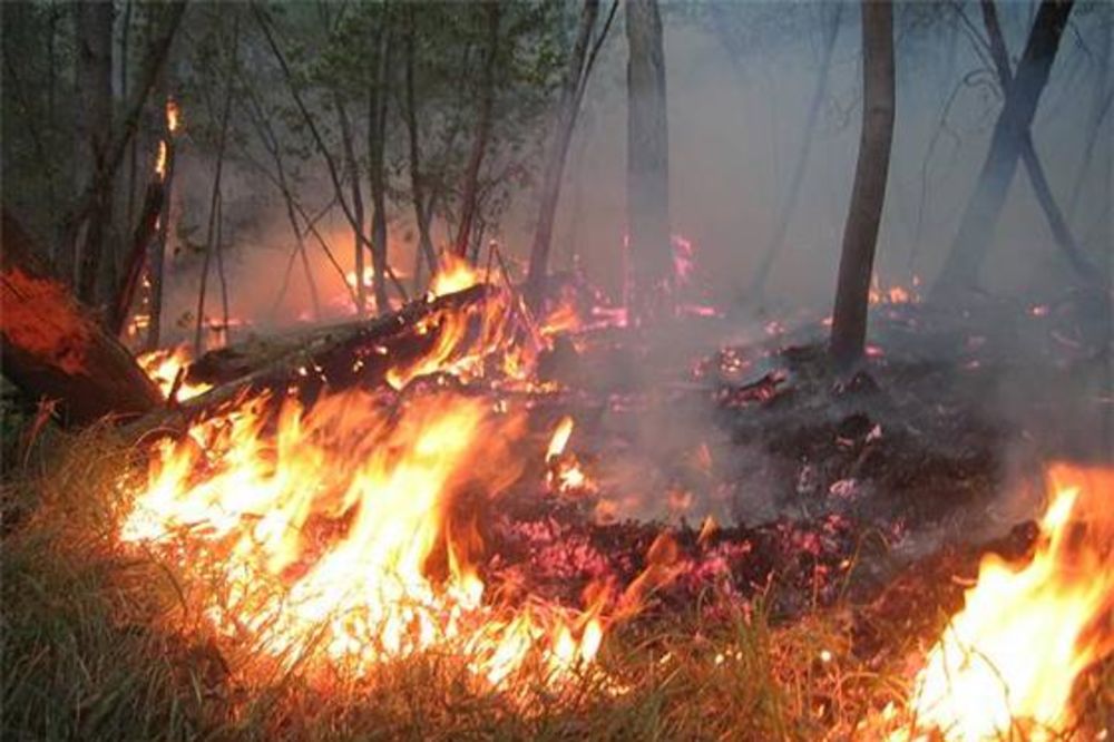 Požari stigli do predgrađa Atine, vatra pod kontrolom