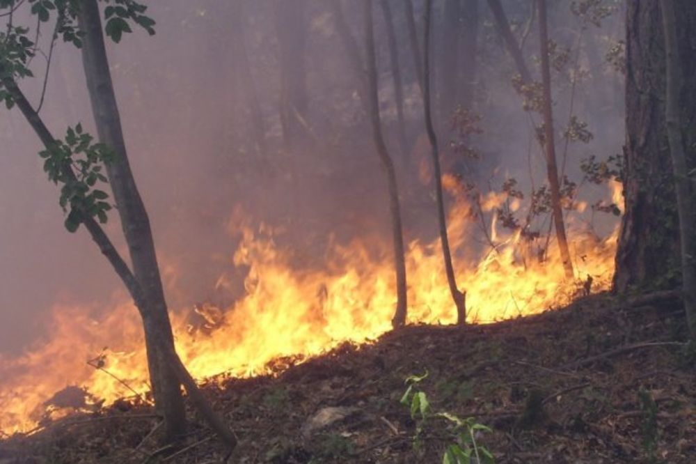 Požar na području Priboja još besni