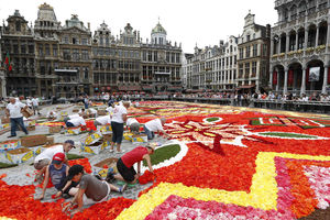 Pogledajte tepih od 600.000 cvetova u Briselu