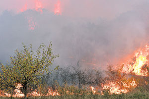 Zauzdan požar na niskom rastinju kod Trudbenika