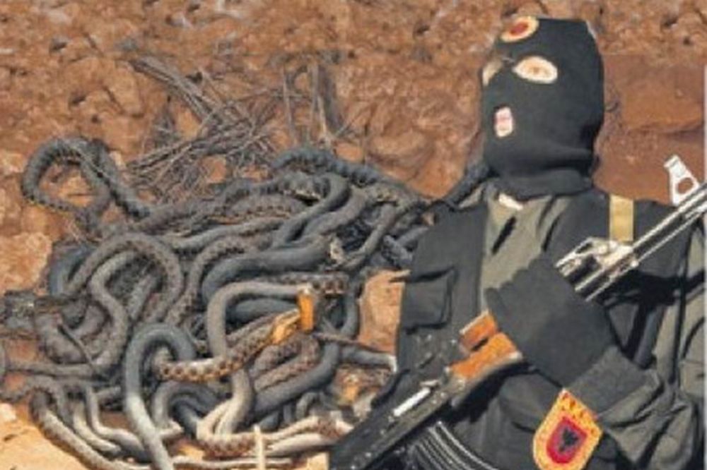 MONSTRUOZNO: Albanci bacali Srbe u bunar sa zmijama!