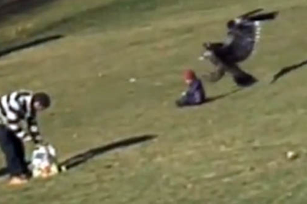 PRIZNALI: Snimak orla koji je zgrabio dete lažan