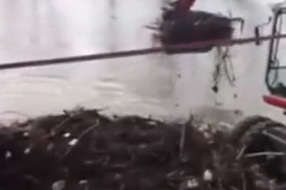 ZAVRŠILO U RECI: Pogledajte kako se čisti đubre sa obale Ibra!