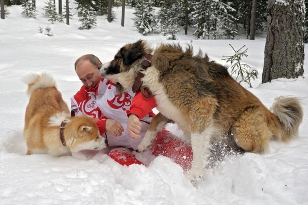 Ovako se Putin igra sa svojim psima