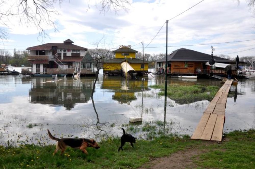 Stiže poplavni talas, punjač džakova u odbrani Beograda