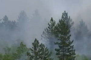 Crni vrh 12 dana u plamenu, gori 150 hektara šume