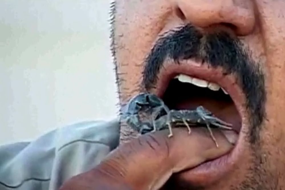 IMUN NA OTROV: Iračanin jede žive škorpije!