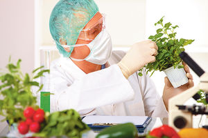 OVO ĆE VAM TREBATI: Uz pomoć ovog trika otkrijte GMO namirnice!