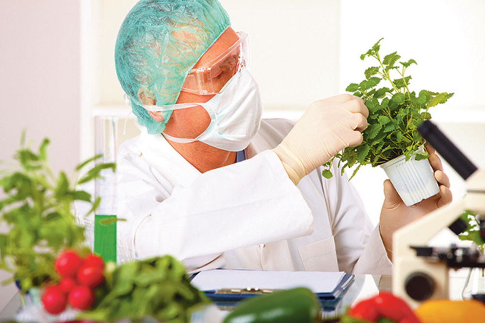 OVO ĆE VAM TREBATI: Uz pomoć ovog trika otkrijte GMO namirnice!