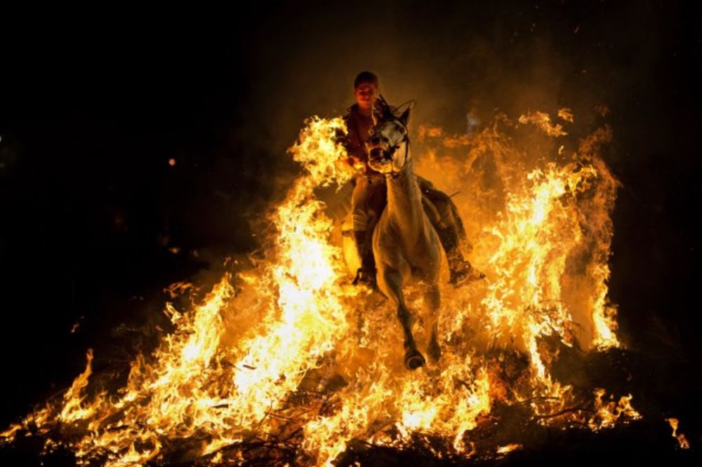 APSURDNO: Slave zaštitnika životinja jašući konjima kroz vatru!