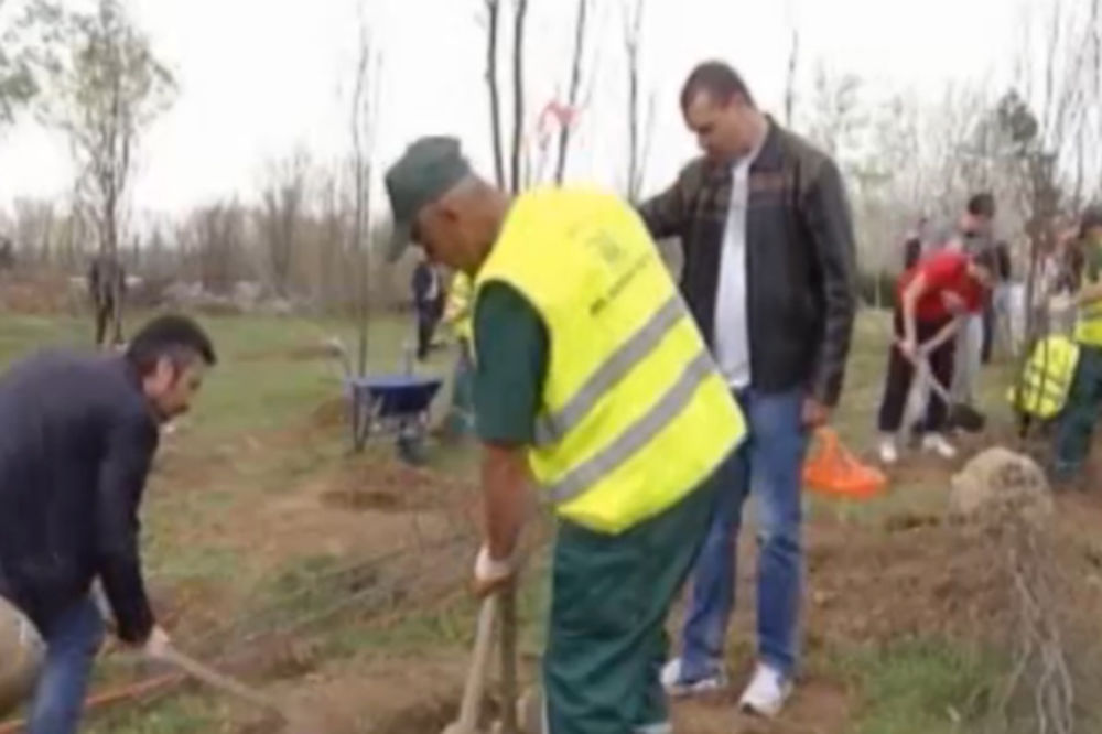 SEĆANJE: Zasađeno 16 stabala u spomen-parku poginulim radnicima RTS!