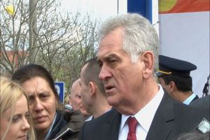 Nikolić: Nije bilo pritisaka zbog krimske krize