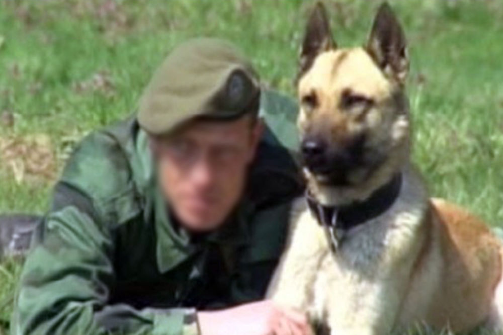 ORKA UPOZORAVA: Na VMA vrše eskperimente na psima Vojske Srbije!
