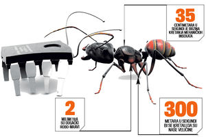 REVOLUCIJA: Mravi-roboti preuzimaju poslove ljudi