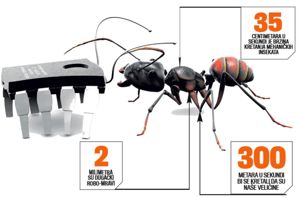 REVOLUCIJA: Mravi-roboti preuzimaju poslove ljudi
