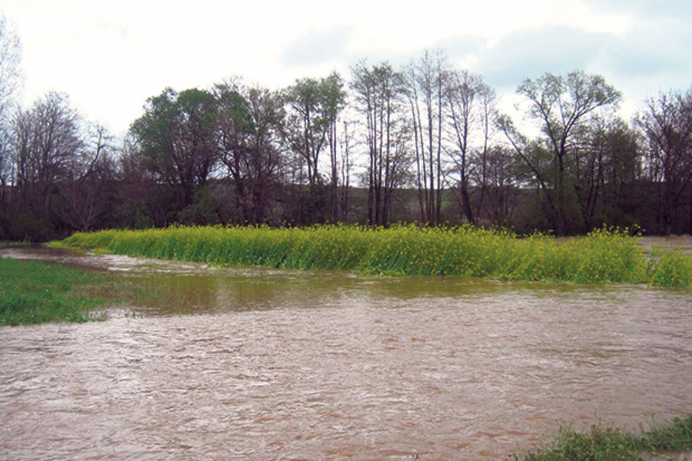 NEPOGODA: Poplavljeno 5.000 hektara oranica