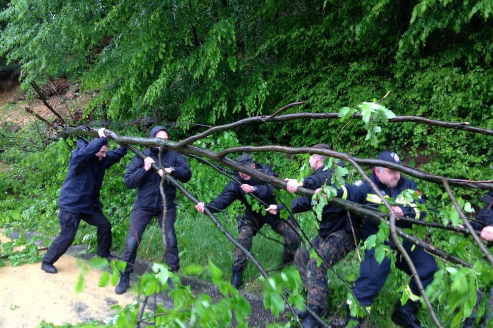 Ministar se probio do Osečine: Stefanović sa policajcima sklanja drvo sa puta!