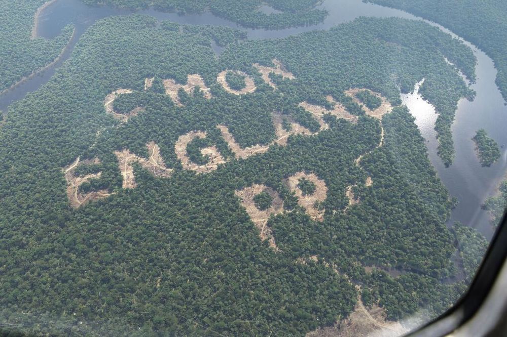 ŠOKIRALI SVE: Poznata kladionica posekla amazonsku šumu da poželi sreću Englezima