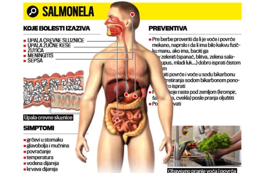 OPASNO: Jagode i salata puni salmonele