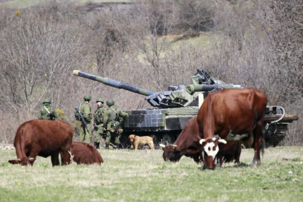 NIJE ŠALA: 172 ukrajinske krave prebegle iz Luganske oblasti u Rusiju