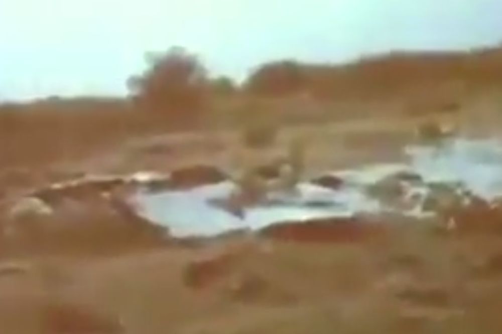 (VIDEO) NEMA PREŽIVELIH: Pogledajte prvi snimak sa mesta gde se srušio alžirski aivon!