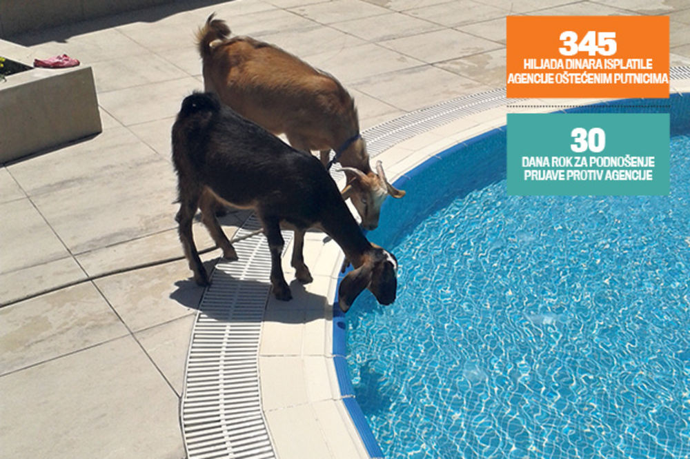 PRESEO IM ODMOR: Umesto luksuza, u Turskoj smo dobili koze u bazenu