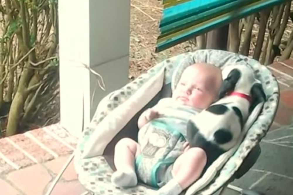 VIDEO KOJI JE RAZNEŽIO INTERNET Snimak štenata i bebe postao hit na Jutjubu!