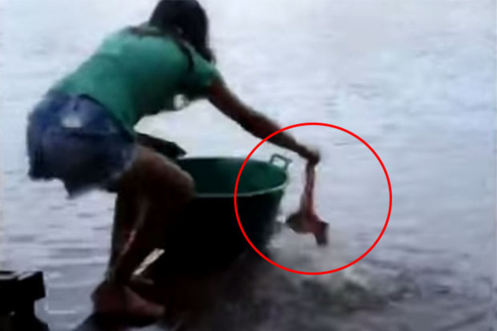 (VIDEO) OVO NISTE VIDELI: Devojka uzme parče mesa i spusti ruku u reku punu pirana...