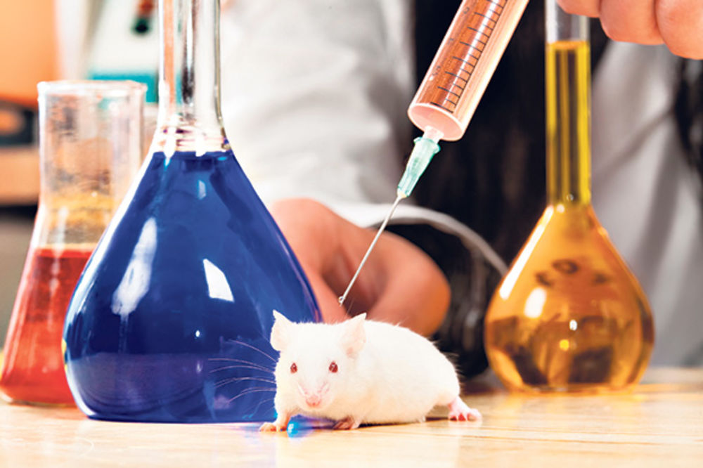 Naučnici utiču na evoluciju miševa!