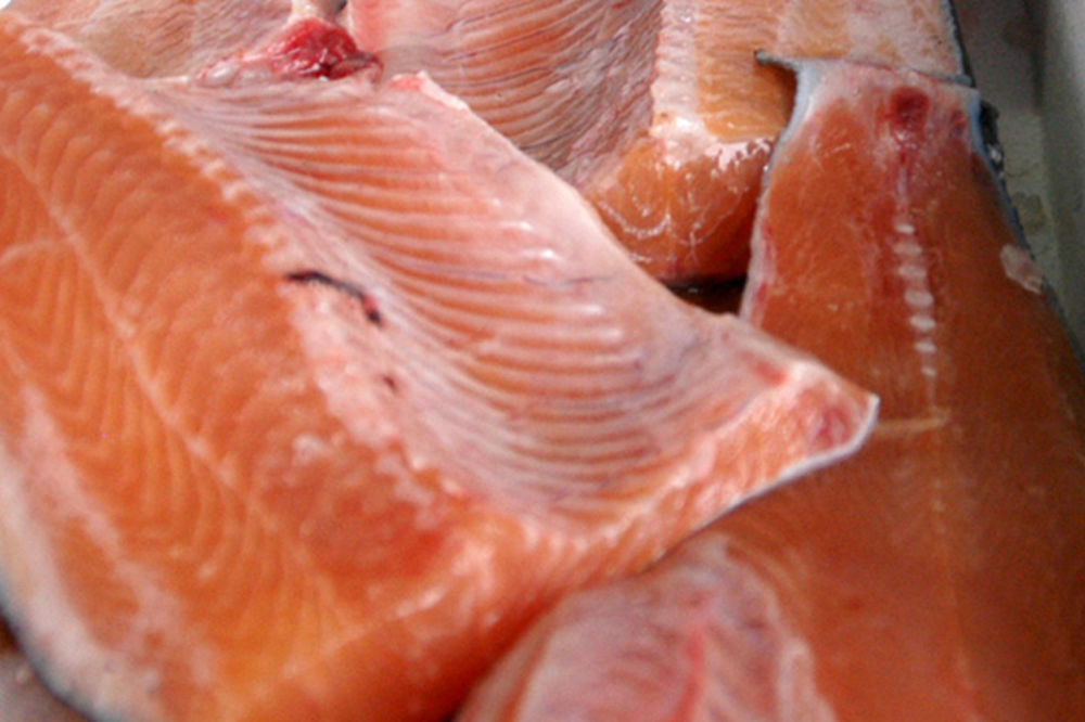 RASTE TRAŽNJA U RUSIJI: Čile podiže cenu lososa!