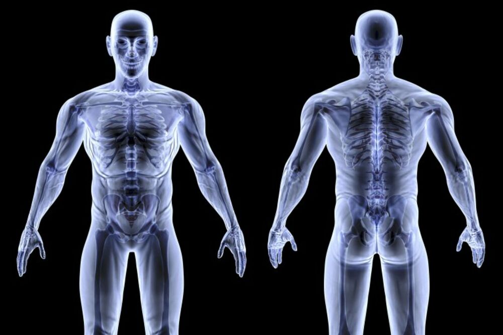 10 stvari za koje nikada niste čuli o ljudskom telu!