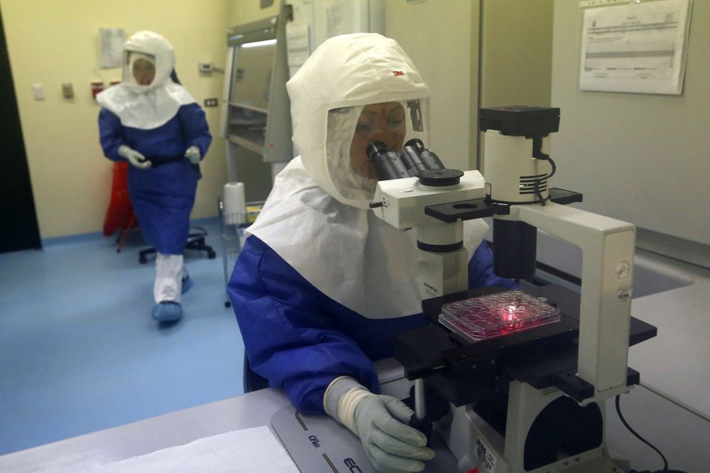 ČUDOTVORNI ZMAPP: Eksperimentalni lek za ebolu izlečio 18 majmuna
