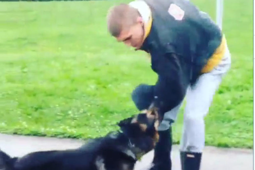 (VIDEO) JAKO ZAGRIZAO: Pogledajte kako Cecin Veljko dresira psa!