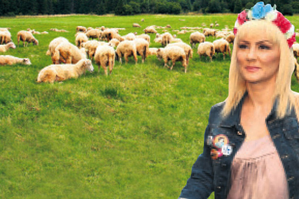 ČOBANICA: Goca Tržan otvara farmu ovaca!