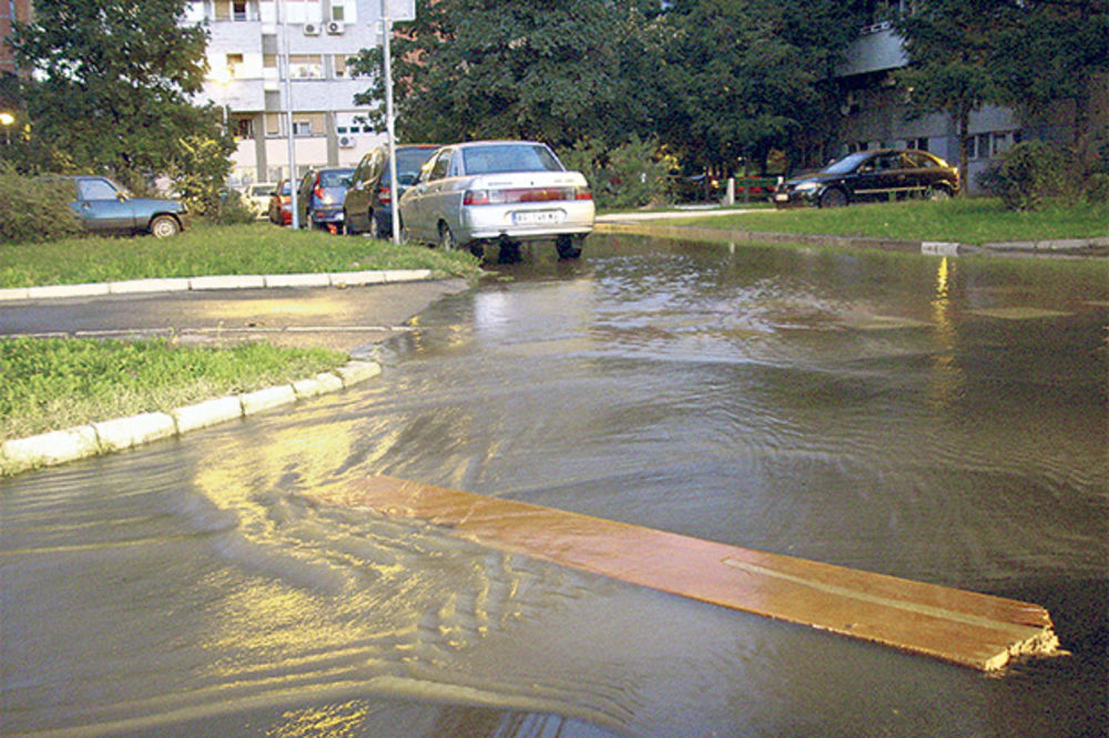 PUKLO U GANDIJEVOJ: Potop na Novom Beogradu