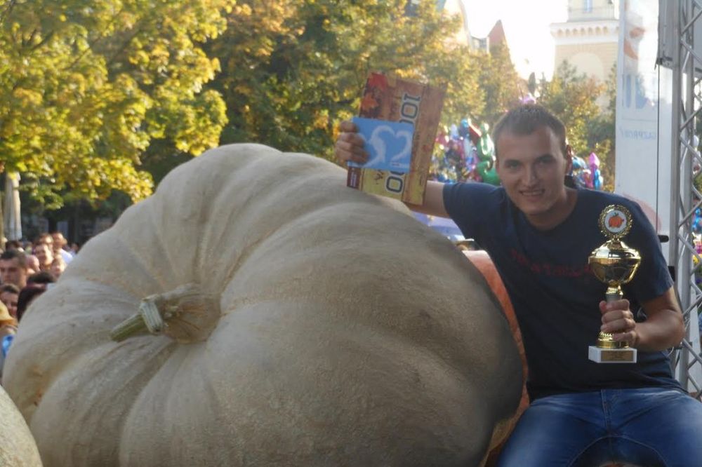 APSOLUTNI REKORDER: Milan Desnica uzgojio tikvu-džina 507 kilograma!