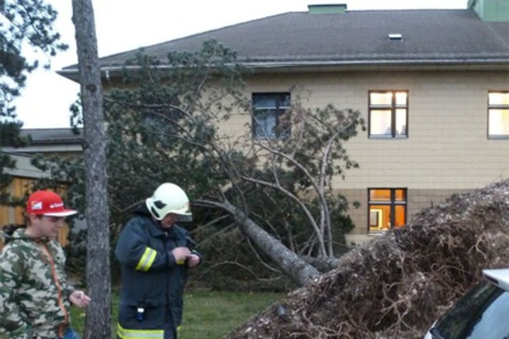 (FOTO) MONSTRUM OLUJA: Uragan čupao drveće iz korena i nosio krovove!
