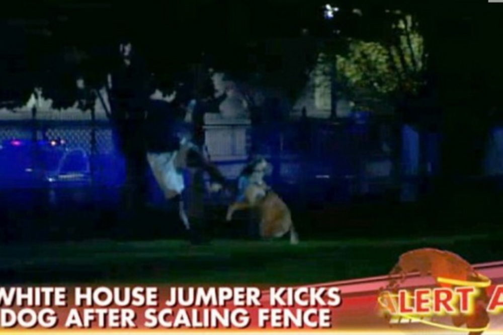 (VIDEO) ZAUSTAVIO GA PAS: Napadač preskočio ogradu Bele kuće i pokušao da dođe do Obame!