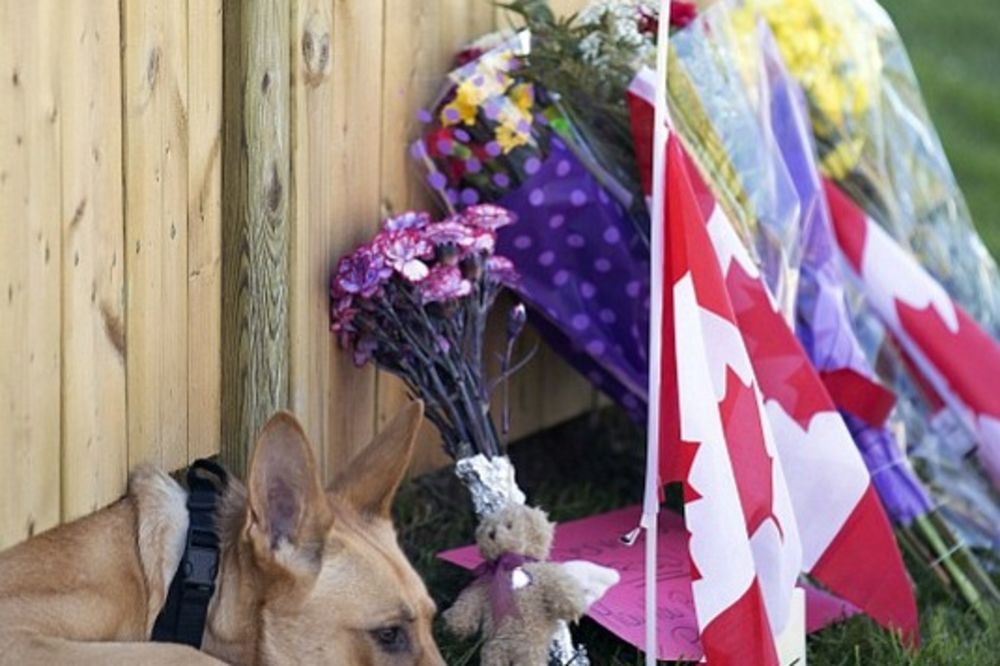 (FOTO) UZALUD SE NADA: Pas preminulog kanadskog vojnika ga verno čeka na kapiji!