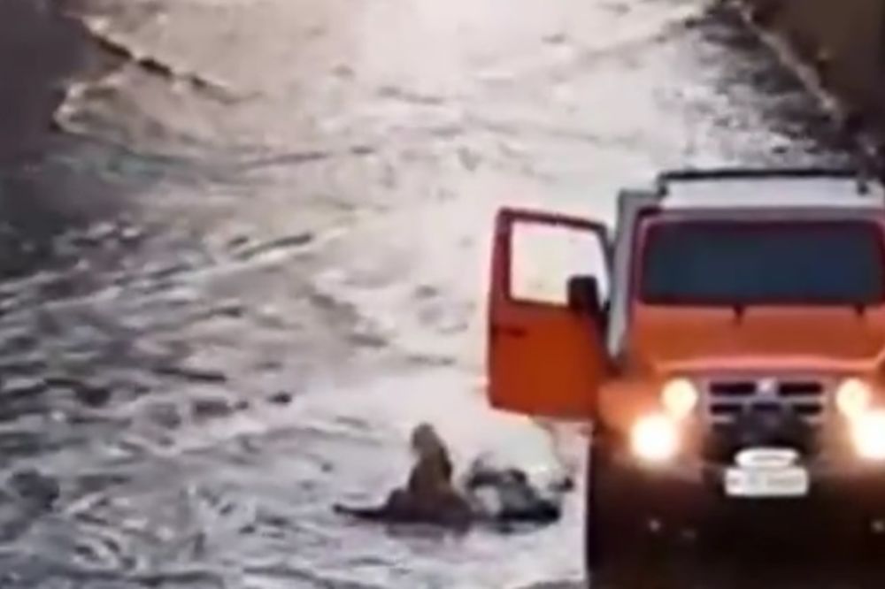 (VIDEO) Uleteo džipom u vodu i spasao slepog psa od sigurne smrti