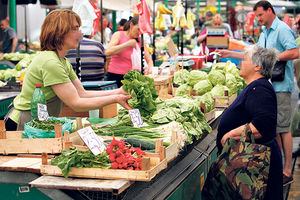 TRŽIŠTE U HAOSU: Trgovci na zelenoj salati zarade 400%