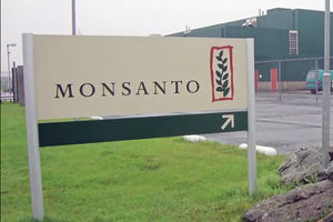 DOGOVOR VREDAN 66 MILIJARDI DOLARA: Američki Monsanto prihvatio ponudu nemačkog Bajera!
