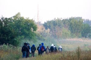 POLICAJCI I VOJNICI OSTALI U ŠOKU: U renou otkrili 50 migranata