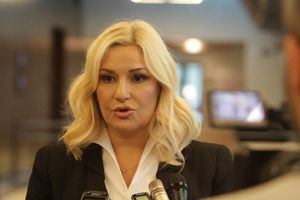 Ministarka pred sudom: Zorana Mihajlović tužena zbog klevete