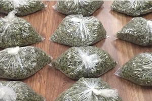 FUTOG: Mladić (21) bacio kesu sa 14 paketića marihuane